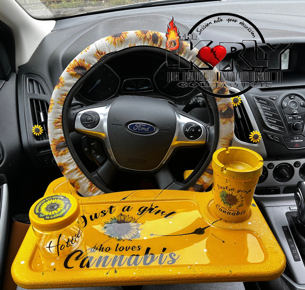 Car Steering Wheel Set